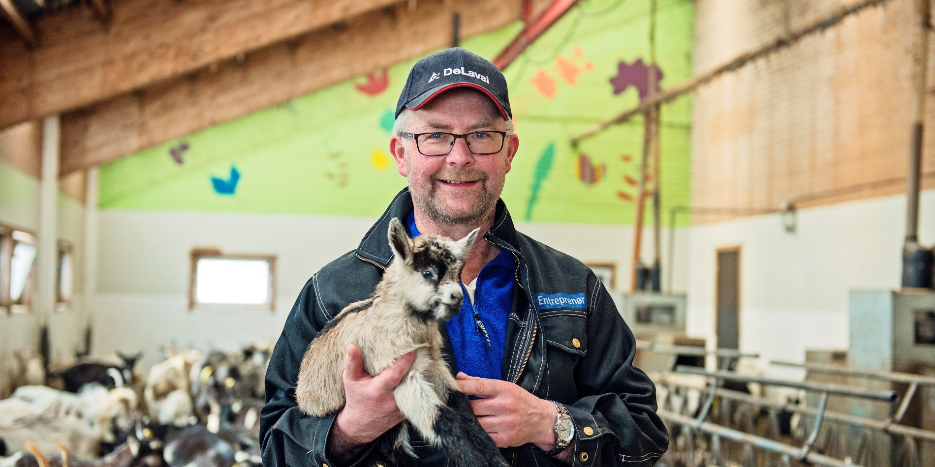 Knut Åland standing in his farm with one of his baby goats 