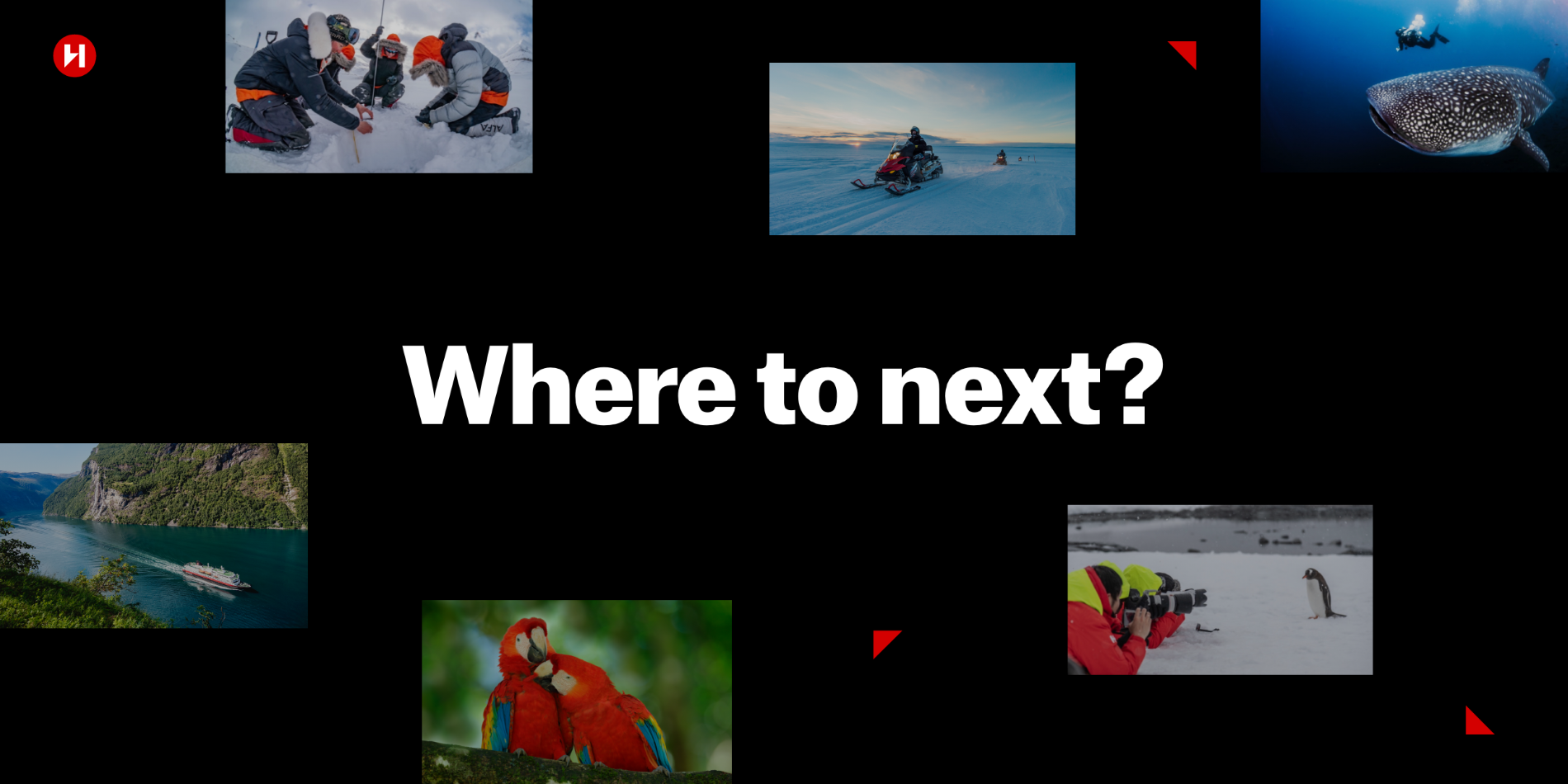 Banner image that says "Where to next?" 