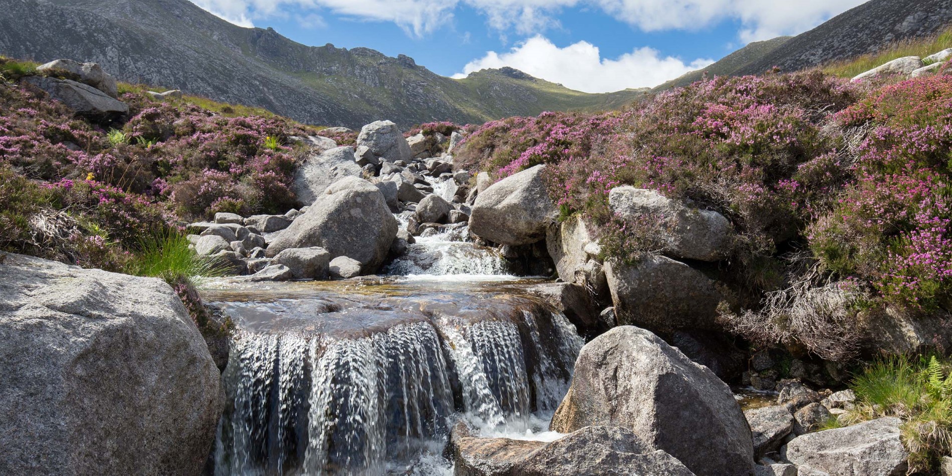 Discover the majesty of the Scottish highlands.