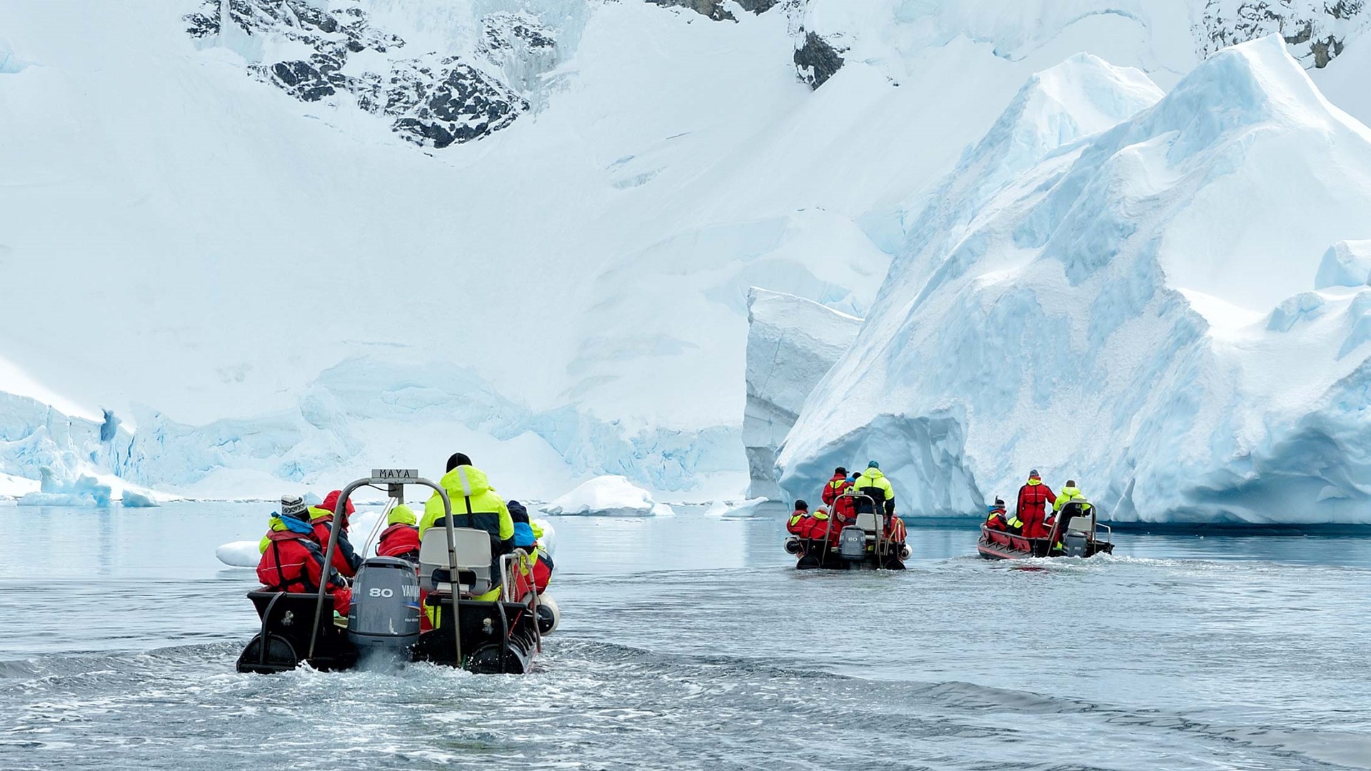 antarctica cruise environmental impact