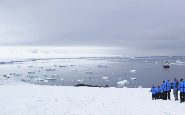 Travel Guide For Antarctica Cruises Hurtigruten - explore the antarctica roblox