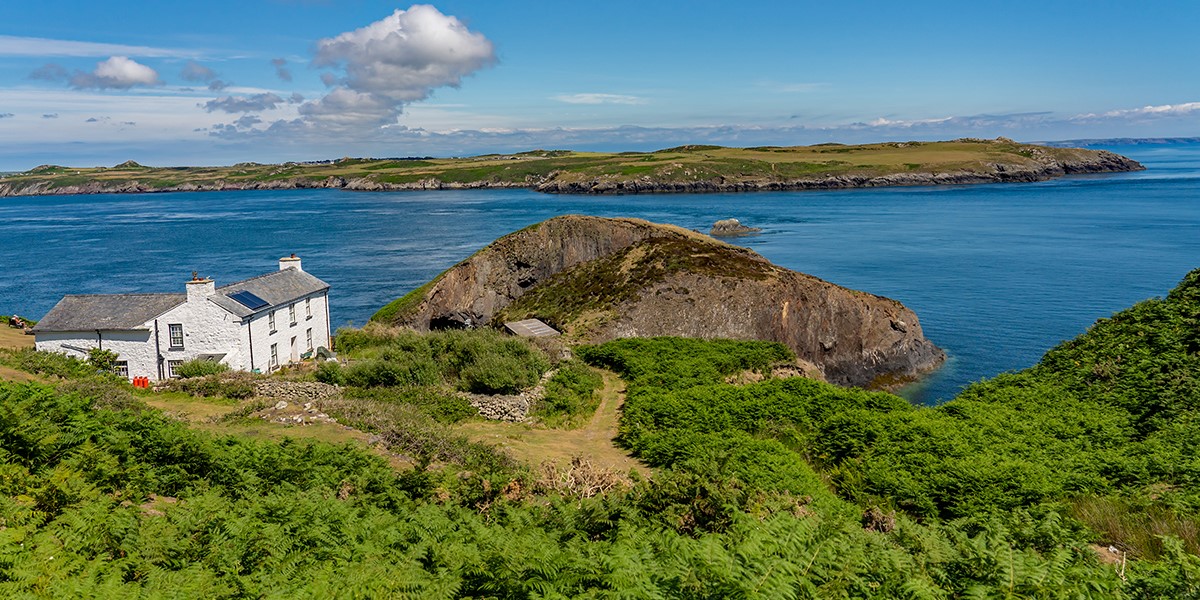 ramsey island day trip