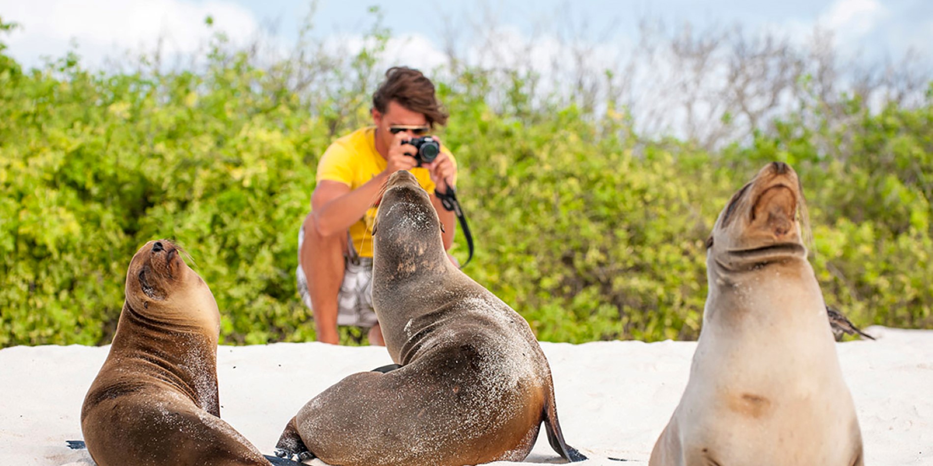 Galapagos seal watching