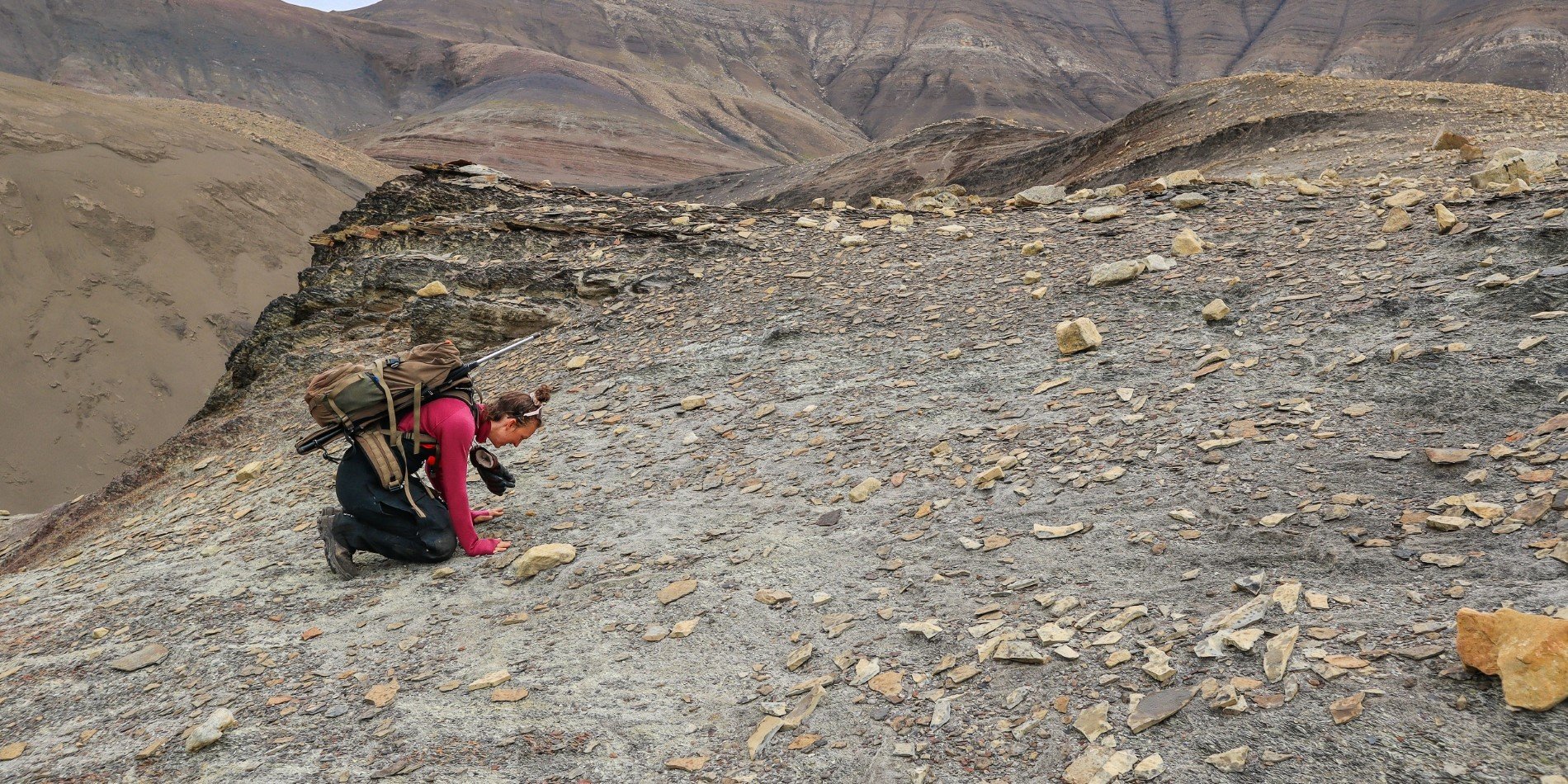 A woman fossil hunting on an organised excursion in Deltaneset, Svalbard