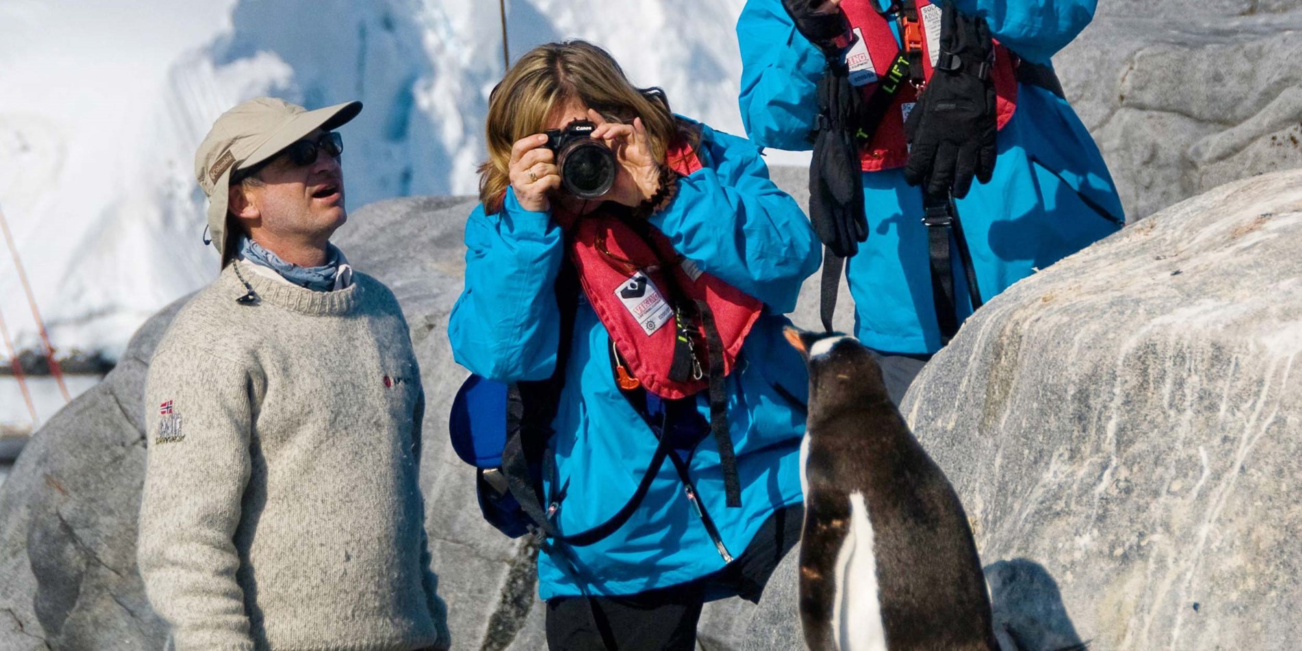 Three people getting close to penguins and taking pictures